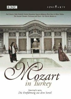 Постер Mozart in Turkey