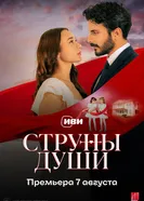 Струны любви, Турция постер