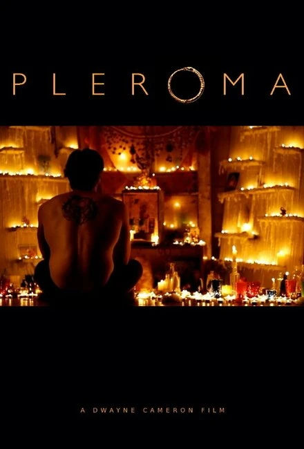 Постер Pleroma 2013