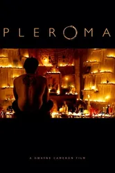 Pleroma 2013 постер