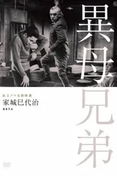 Сводные братья 1957 постер