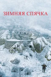 Зимняя спячка 2014 постер
