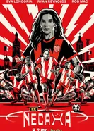 Bienvenidos a Necaxa постер