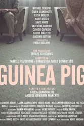 GuineaPig постер