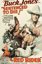 Красный наездник 1934 постер