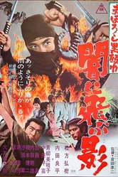 Черный ниндзя 1967 постер