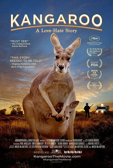 Постер Kangaroo 2017