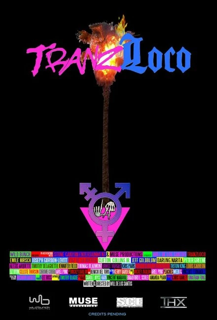 Постер Tranzloco