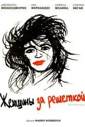 Женщины за решёткой 2001 постер
