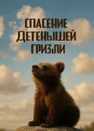 Спасение детенышей гризли 2017 постер