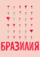 Бразилия 2018 постер