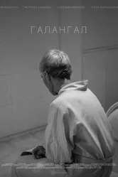 Галангал 2019 постер