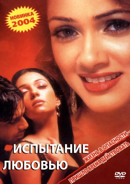Постер Испытание любовью 2003