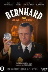 Бернхард, негодяй Оранский 2010 постер
