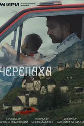 Черепаха 2024 постер