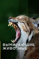 Вымирающие животные 2016 постер