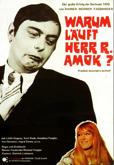 Постер Почему рехнулся господин Р? 1970