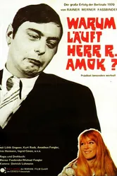 Почему рехнулся господин Р? 1970 постер