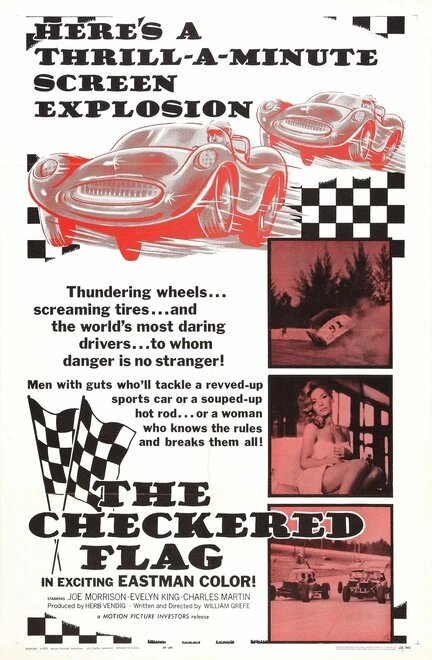 Постер The Checkered Flag