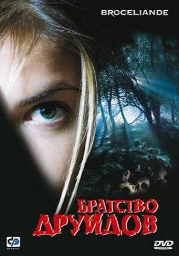 Постер Братство друидов 2003