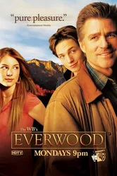 Любовь вдовца 2002 постер