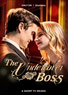 Моя уборщица – гендир! постер