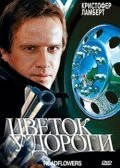 Постер Цветок у дороги 1993