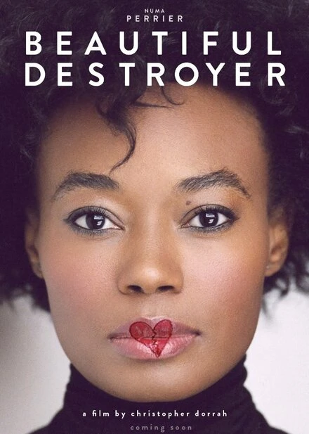 Постер Beautiful Destroyer