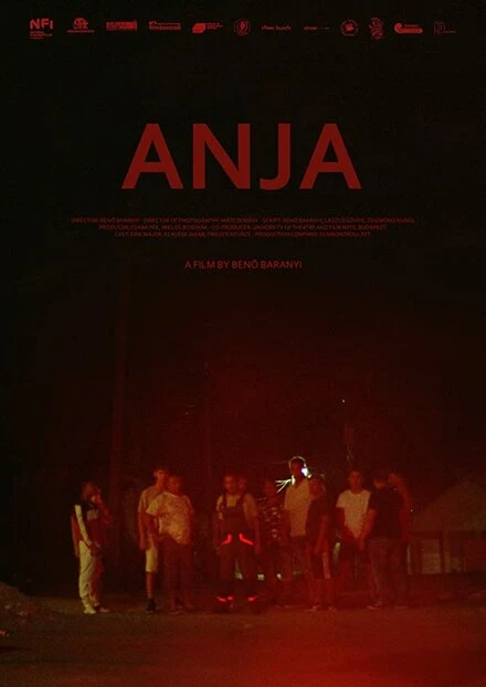 Постер Anja