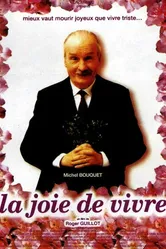 Радость жизни 1993 постер