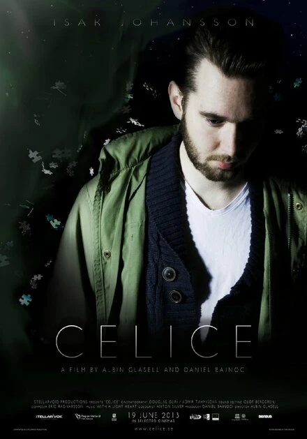 Постер Celice