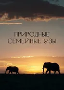Природные семейные узы постер