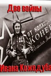 Тайны века. Две войны Ивана Кожедуба 2010 постер