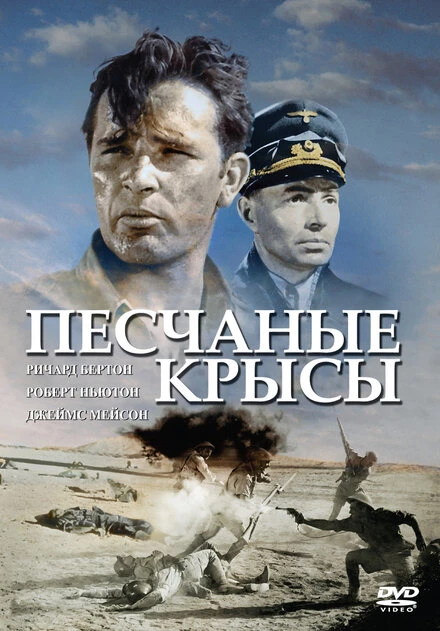Постер Песчаные крысы 1953