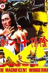 Замечательный и удивительный 1980 постер