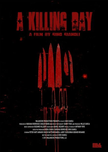 Постер A Killing Day