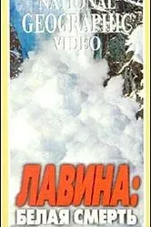 Avalanche: The White Death постер