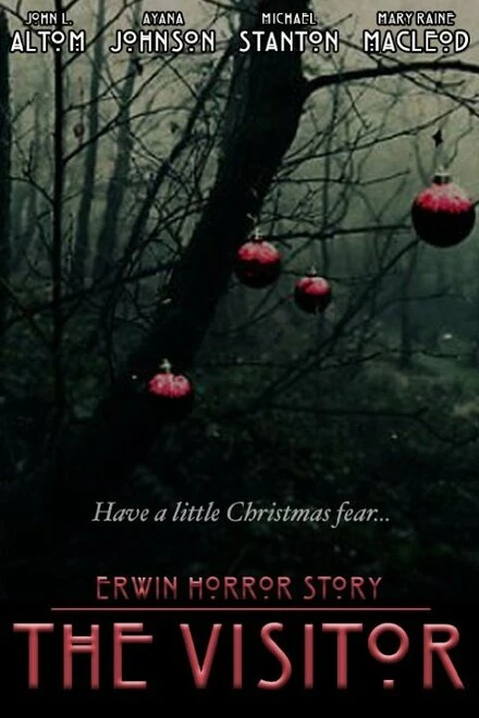 Постер Erwin Horror Story: The Visitor