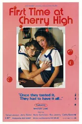 First Time at Cherry High постер