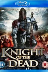 Рыцарь смерти 2013 постер
