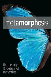 Метаморфозы: Красота и дизайн бабочек 2011 постер
