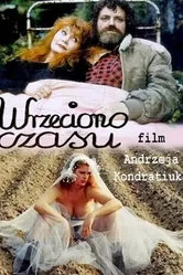 Веретено времени 1995 постер