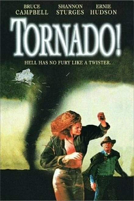 Постер Торнадо 1996