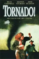Торнадо 1996 постер