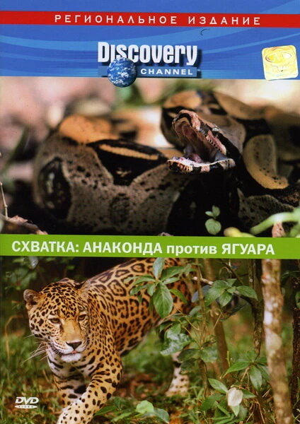 Постер Discovery. Схватка: Анаконда против ягуара 2004