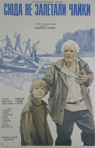 Постер Сюда не залетали чайки 1977