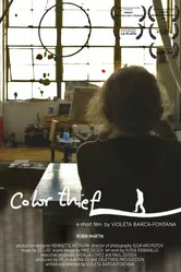 Color Thief постер