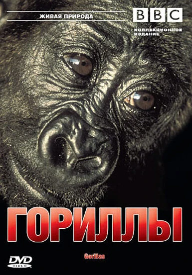 Постер BBC: Гориллы 2002