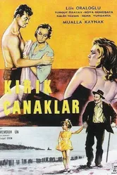 Разбитые горшки 1960 постер