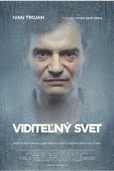 Видимый мир 2011 постер